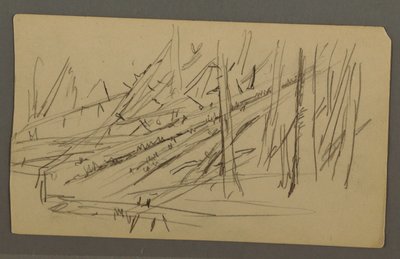 Dessin, Arbres tombés, peut-être 1877 - Frederic Edwin Church