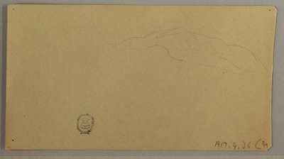 Dessin, plantes à fleurs, vers 1856 - Frederic Edwin Church