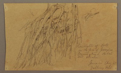 Dessin, racines suspendues, colline de Galleway, août 1865 - Frederic Edwin Church
