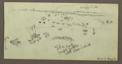 Dessin, colline, arbustes, personnage, études sur les chameaux, peut-être 1868 - Frederic Edwin Church