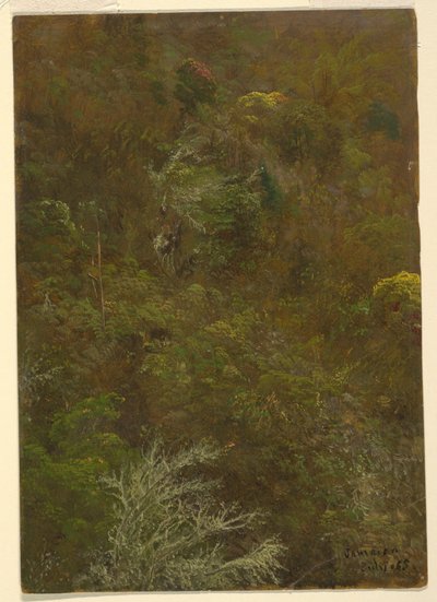 Dessin, colline couverte de buissons et d