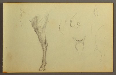 Dessin, Études de chevaux, peut-être 1844 - Frederic Edwin Church