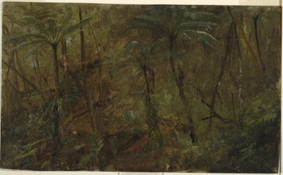 Dessin, Dans les bois de Jamacia, Antilles, 1865 - Frederic Edwin Church