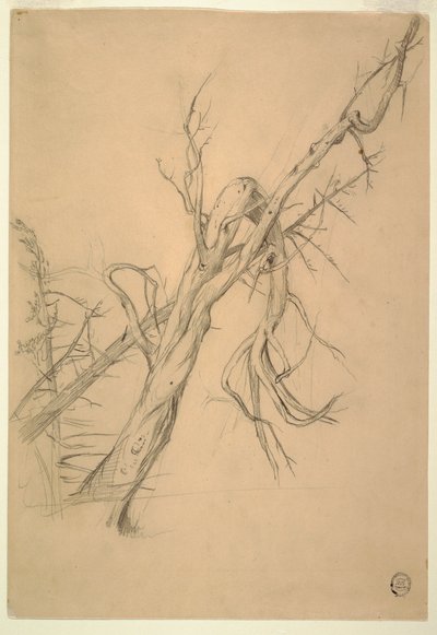 Dessin, campement indien, Grand Manan, baie de Fundy, septembre 1851 - Frederic Edwin Church