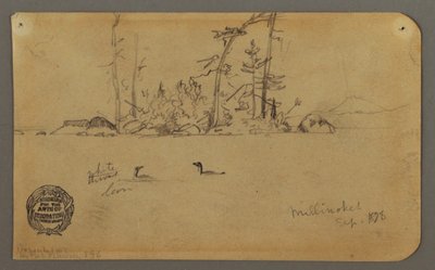 Dessin, île, deux huards, 1878 - Frederic Edwin Church