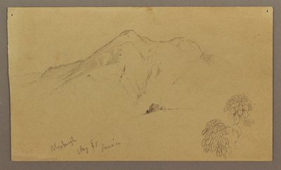 Dessin, paysage, plantes, Bloxburgh, août 1865 - Frederic Edwin Church