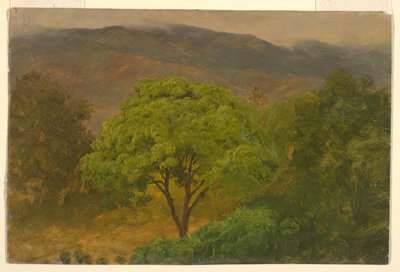 Dessin, paysage de montagne, août 1865 - Frederic Edwin Church
