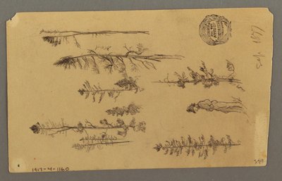 Dessin, sommet de la montagne, 1877 - Frederic Edwin Church
