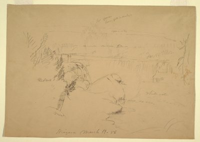Dessin, chutes du Niagara, vue de l