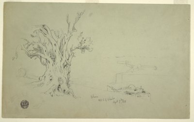 Dessin, Olivier, Mont d
