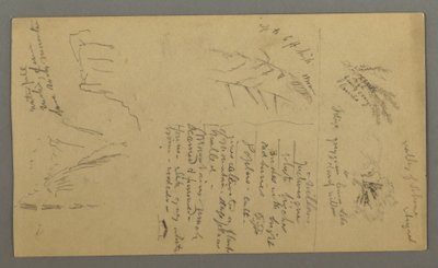 Dessin, Études de plantes, Notes sur les plantes, Cascade, 1868 - Frederic Edwin Church