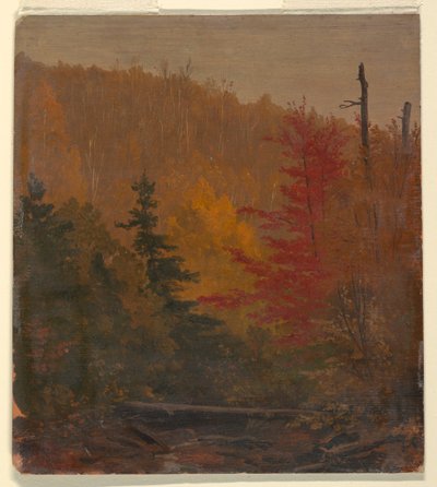 Dessin, probablement près de Katahdin, automne, 1865-70 - Frederic Edwin Church