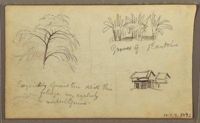 Dessin, coin de rue à Guaquil, Équateur ; Verso : croquis botaniques, maison, Équateur ou Colombie, 1857 - Frederic Edwin Church