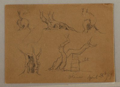 Dessin, Études de troncs d