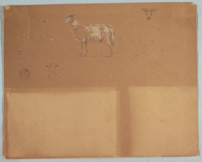 Dessin, études de moutons, Équateur ou Colombie, 1853 - Frederic Edwin Church
