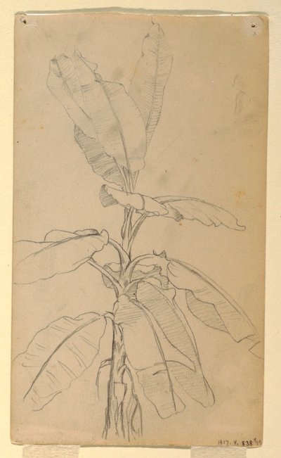Dessin, étude d