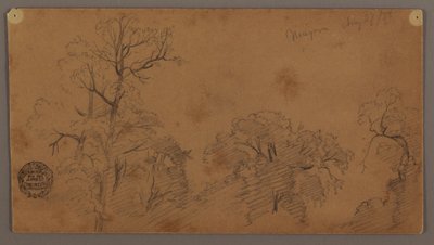 Dessin, cime des arbres, Niagara, 27 août 1856 - Frederic Edwin Church