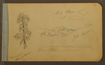 Dessin, arbre, montagnes, 1889 - Frederic Edwin Church