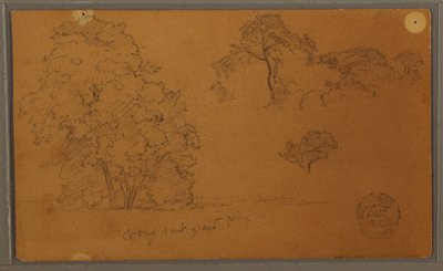 Dessin, arbres, 1857 - Frederic Edwin Church