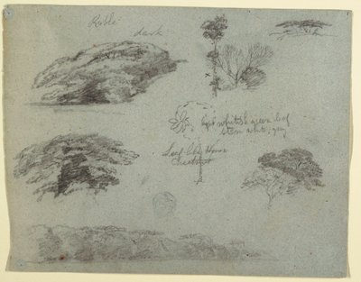 Dessin, Arbres, cimes des arbres et banc boisé, Saddleback, Maine, 1853 - Frederic Edwin Church
