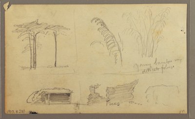 Dessin, Vues de la rive orientale de la rivière Guayas, en face de Guayaquil, Équateur, mai 1857 - Frederic Edwin Church