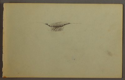 Dessin, trempette boisée au coucher du soleil, peut-être 1844 - Frederic Edwin Church