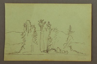 Dessin, rive boisée d