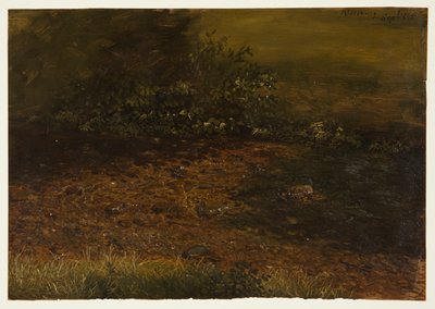 Dessin, ruisseau de forêt dans les Catskills, septembre 1848 - Frederic Edwin Church