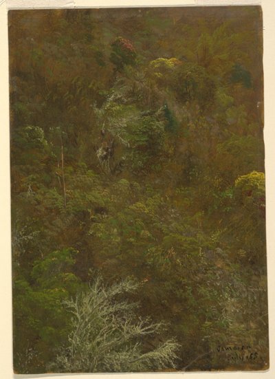 Colline avec arbres, Jamaïque - Frederic Edwin Church