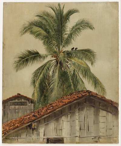 Palmiers et cimes des maisons, Équateur - Frederic Edwin Church