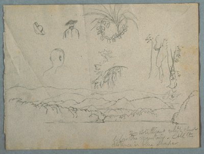 Rive avec montagnes et nuages, trois esquisses botaniques et études de bustes d