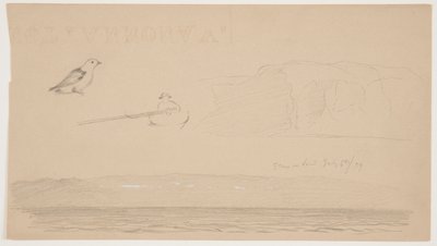 Croquis du Labrador de la neige sur la terre, homme dans un bateau et oiseau - Frederic Edwin Church
