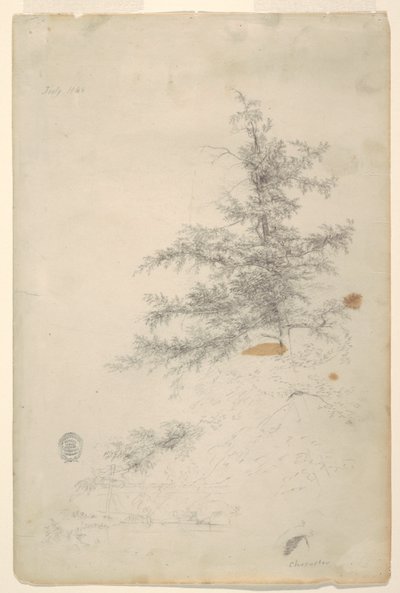 Arbre, ruisseau - Frederic Edwin Church