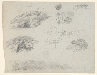 Arbres, Cimes des Arbres, et une Berge Boisée, Saddleback, Maine - Frederic Edwin Church