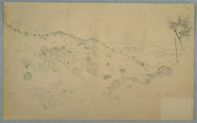 Vallée boisée avec une grande fougère et des chaînes de montagnes lointaines, Jamaïque - Frederic Edwin Church