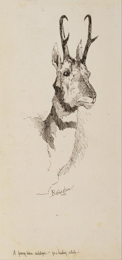 Une antilope de Pronghorn - Frederic Remington