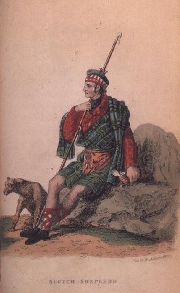 Le berger écossais d