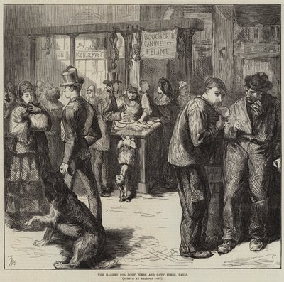 Le marché de la chair de chien et de chat, Paris - Frederick Barnard