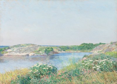 Le Petit Étang, Appledore, 1890 - Frederick Childe Hassam