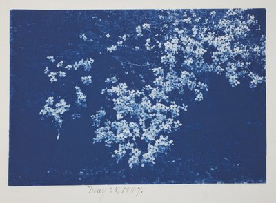 Sans titre, 25 mai - Frederick K. Coulson
