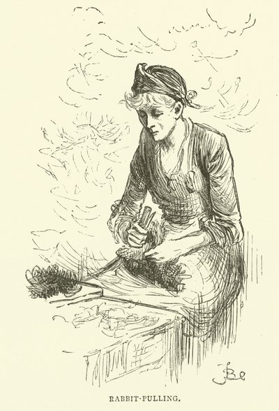 Tirage de lapin - Frederick L. Bernard