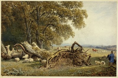 Moutons, vaches et berger près d