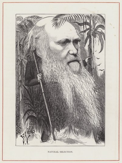 Charles Darwin, Sélection Naturelle - Frederick Waddy
