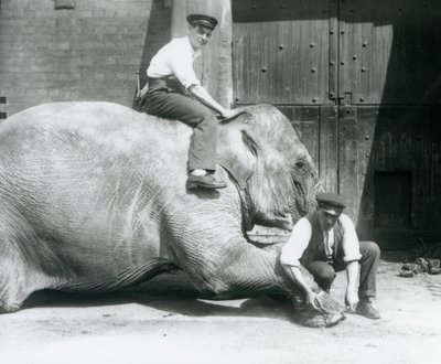 Sundermalah se faisant tailler le pied avant par un gardien avec une lime, tandis qu