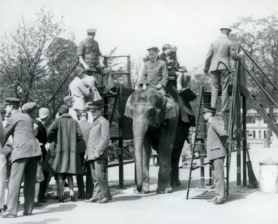 Visiteurs faisant la queue pour une promenade à dos d