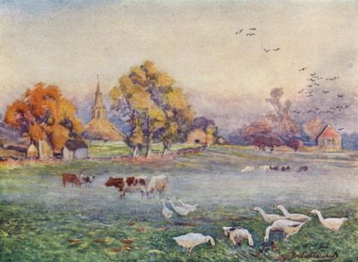 Les Champs de l