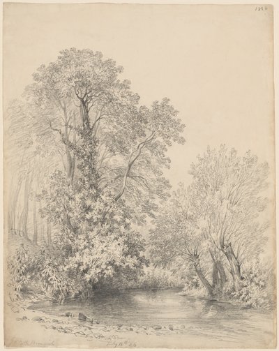 Arbres près de la rivière à Castle Bromwich - Frederick William Watts