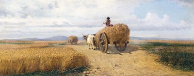 Champ de blé - Frederico Rossano