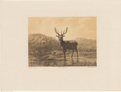Cerf dans un paysage - Frederik Hendrik Weissenbruch
