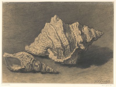 Deux coquillages - Frederik Willem Zürcher